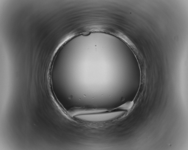 X0000086220806200704121856