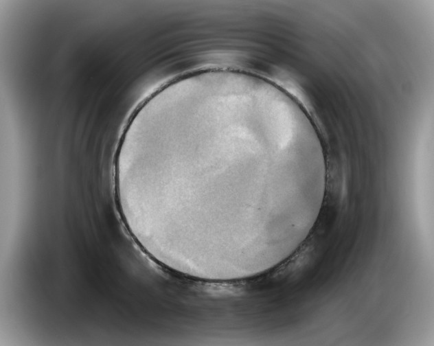 X0000086220807200704121856