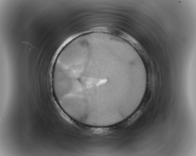 X0000086220808200704121856