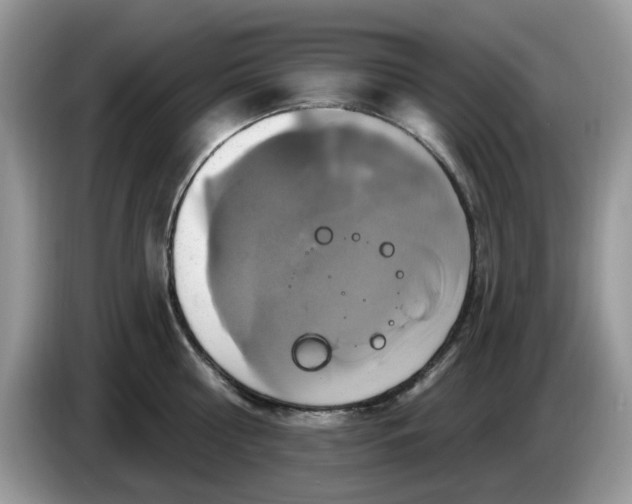 X0000086220810200704121856