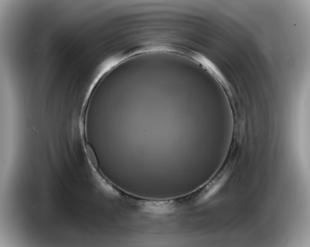 X0000086220813200704121856