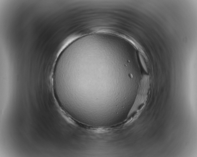 X0000086220814200704121856