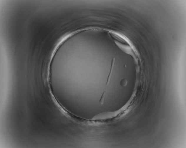 X0000086220815200704121856