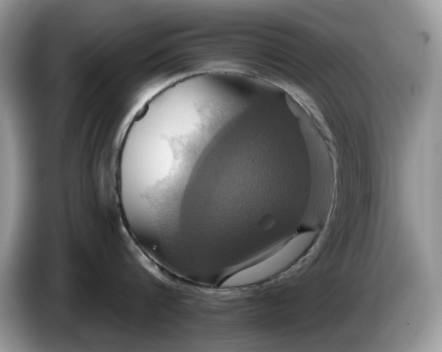 X0000086220816200704121856