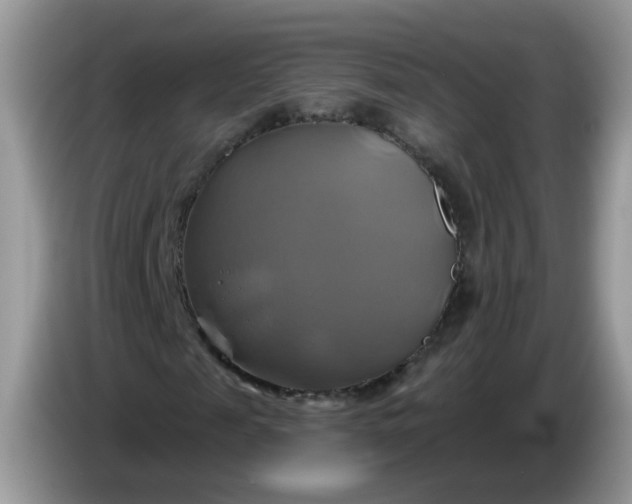 X0000086220817200704121855