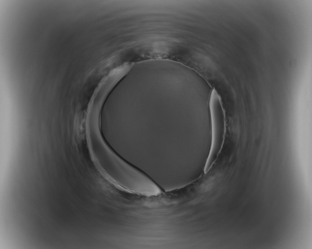 X0000086220818200704121855