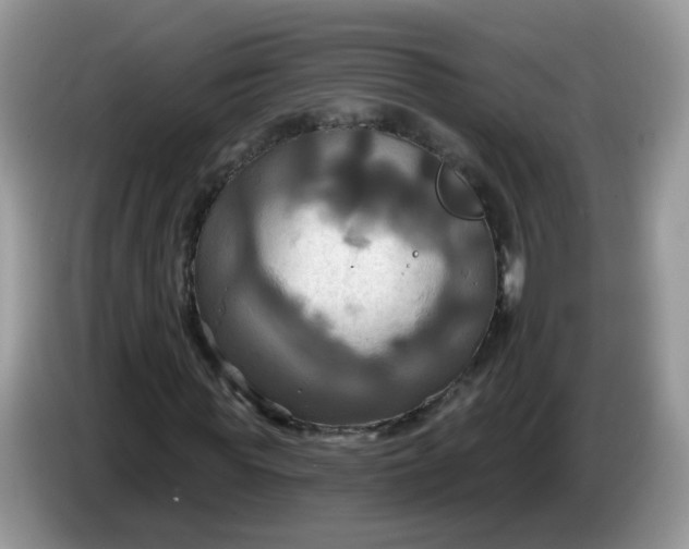 X0000086220819200704121855