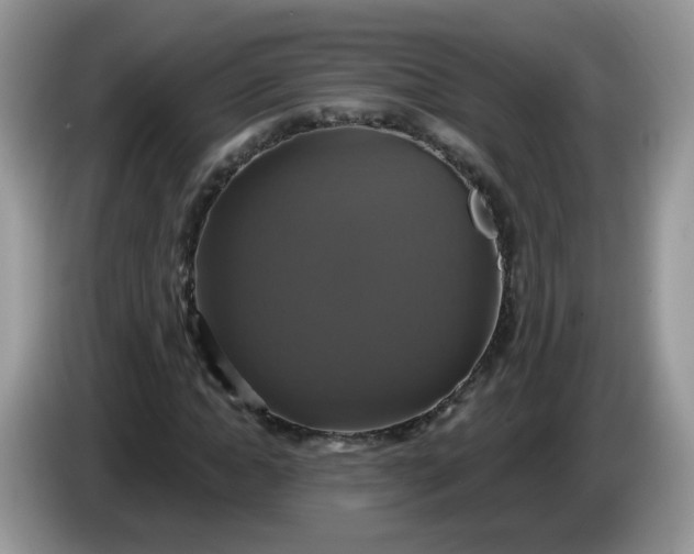 X0000086220822200704121855