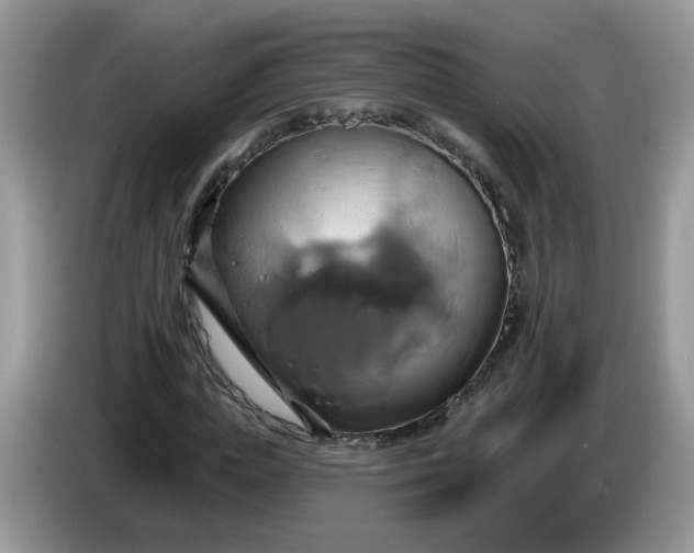 X0000086220823200704121855