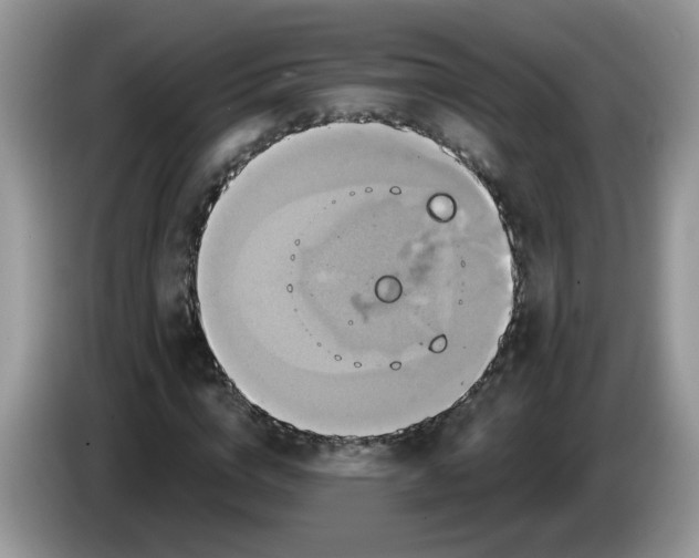 X0000086220824200704121855