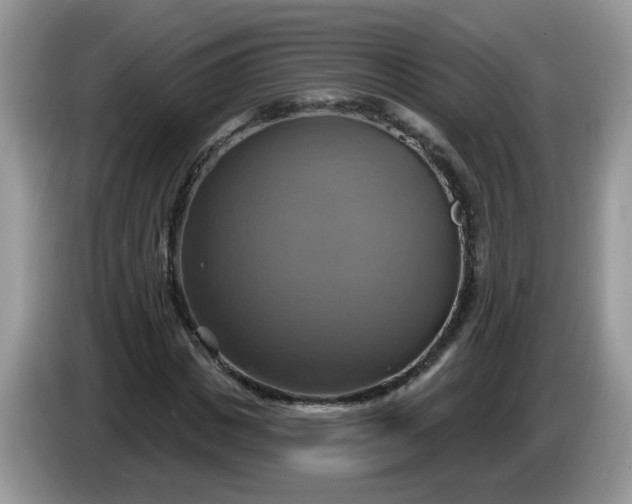 X0000086220825200704121855