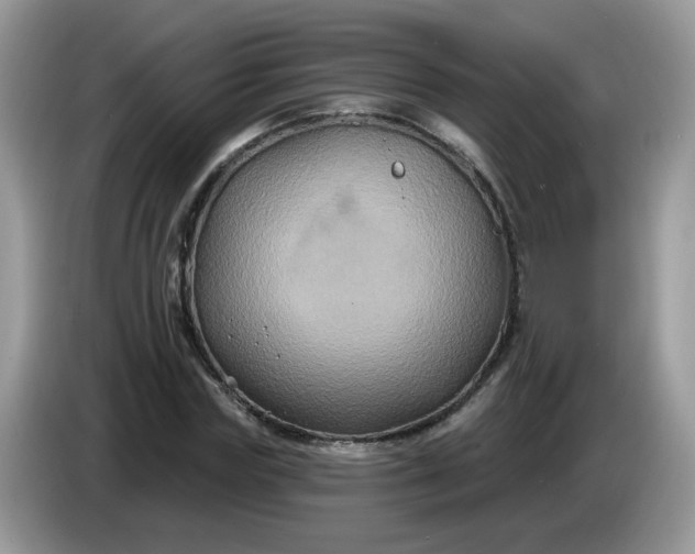 X0000086220827200704121855