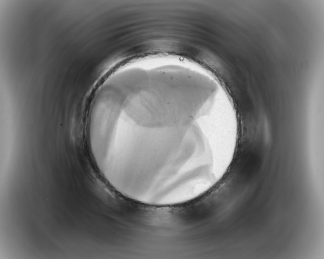 X0000086220828200704121855