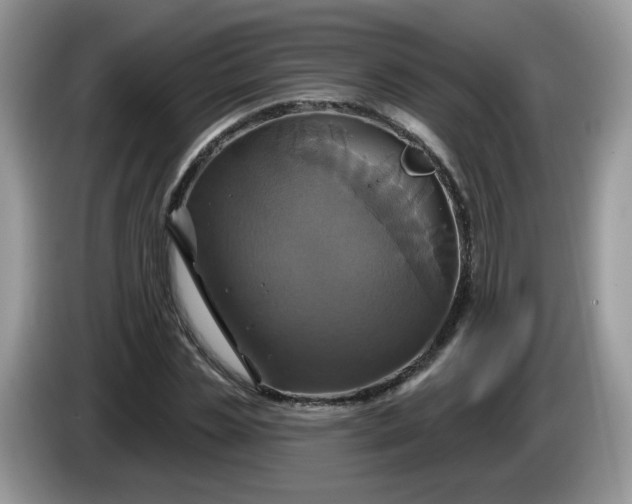 X0000086220829200704121855