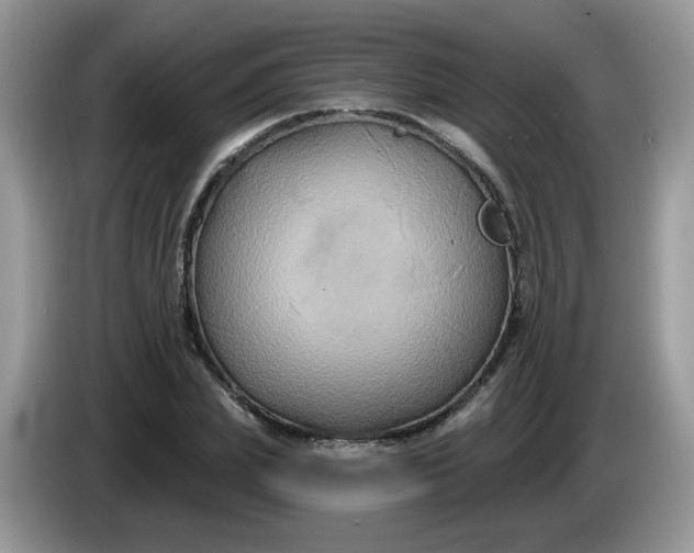 X0000086220831200704121855