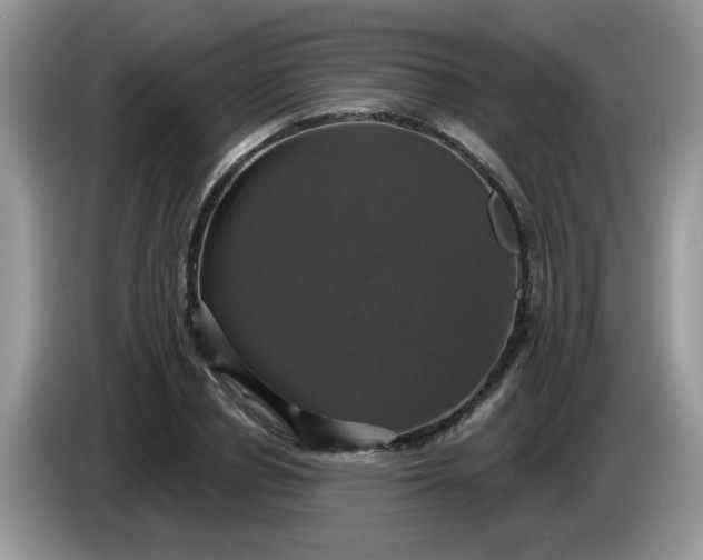 X0000086220834200704121855