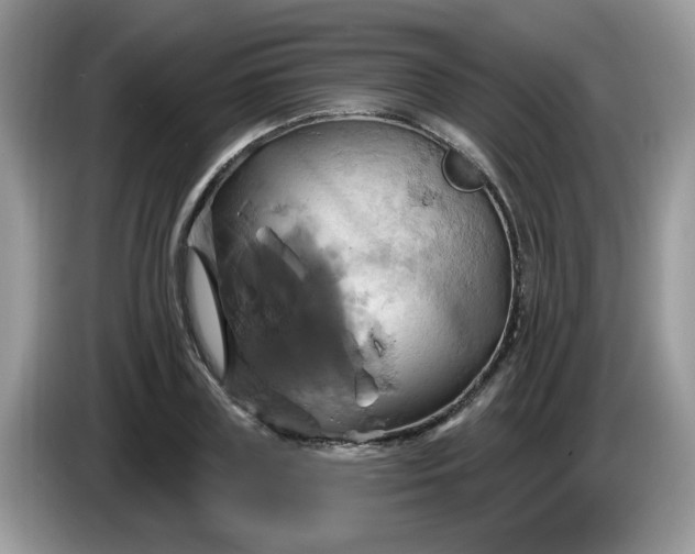 X0000086220835200704121855