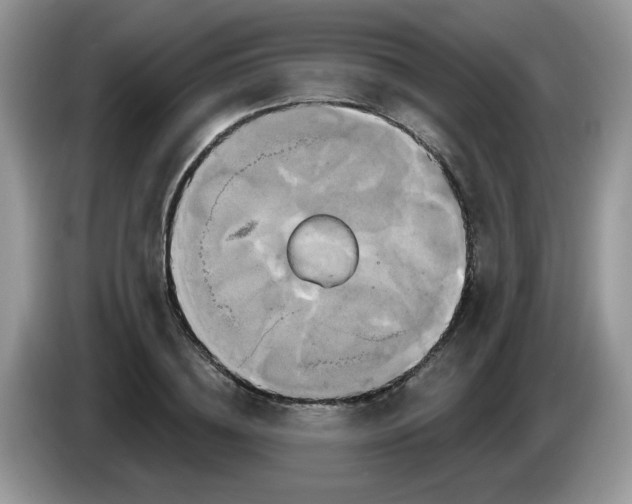 X0000086220836200704121855