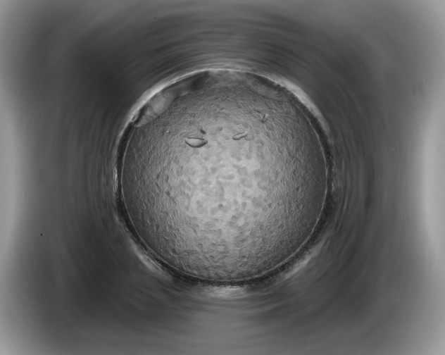 X0000086220837200704121855