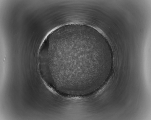 X0000086220838200704121855