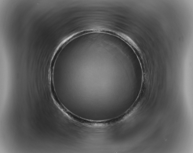 X0000086220839200704121855