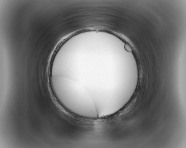 X0000086220840200704121855