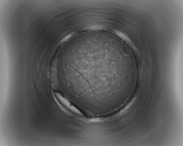 X0000086220841200704121855