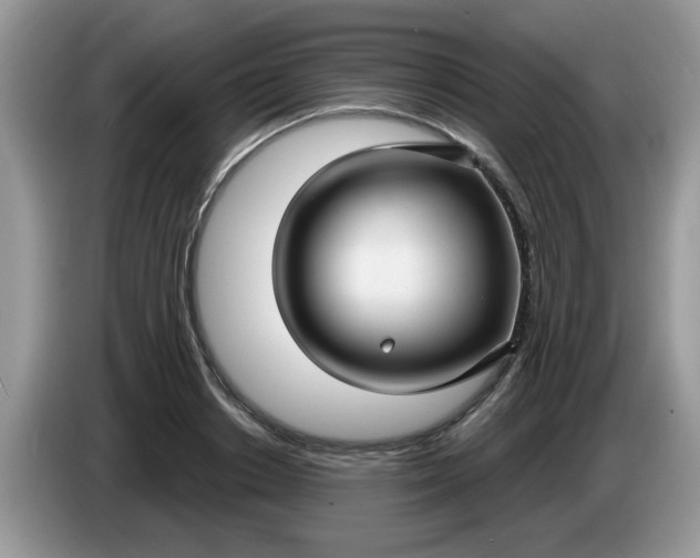 X0000086220842200704121855