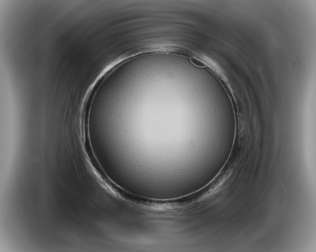 X0000086220843200704121855