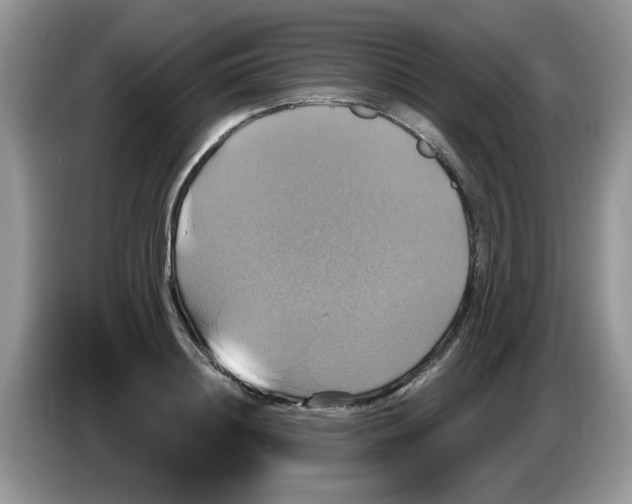 X0000086220844200704121855