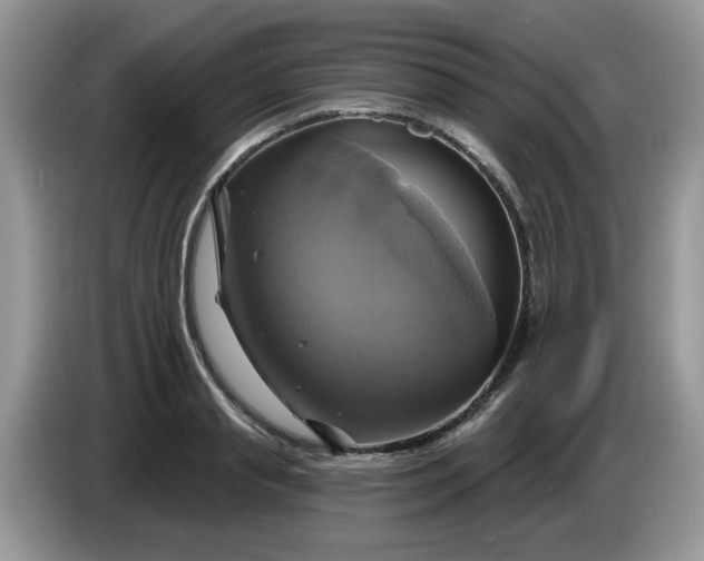 X0000086220845200704121855