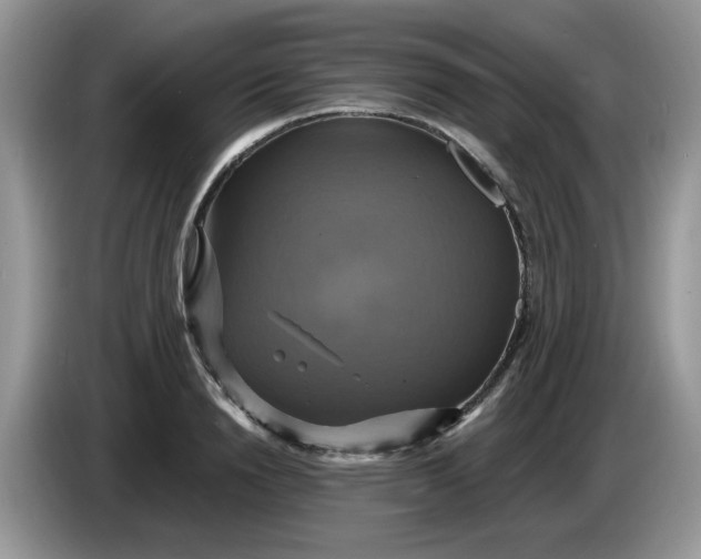 X0000086220846200704121855