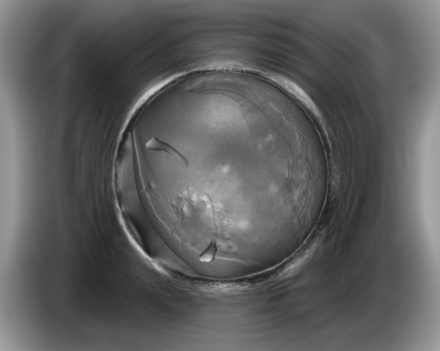 X0000086220847200704121855