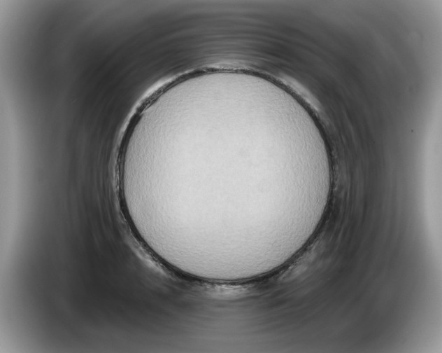 X0000086220848200704121855