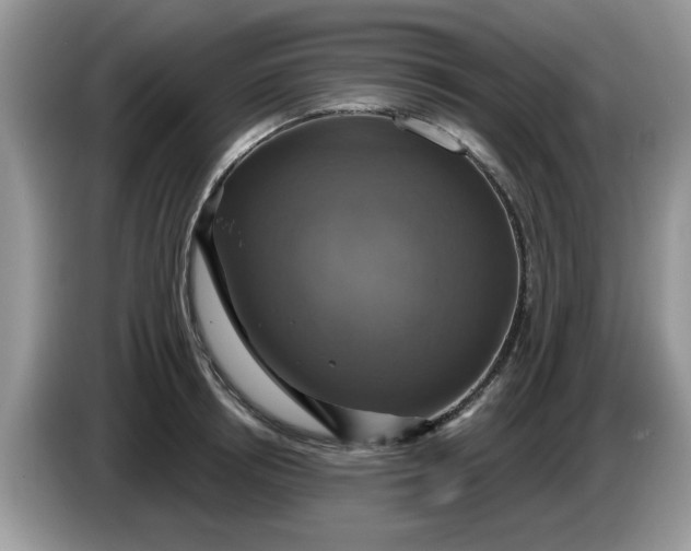 X0000086220850200704121856