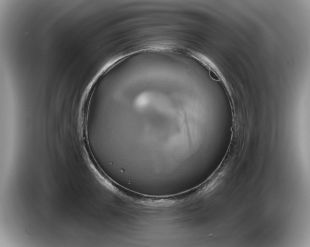 X0000086220851200704121856