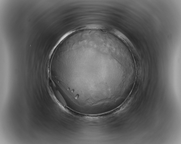 X0000086220852200704121856