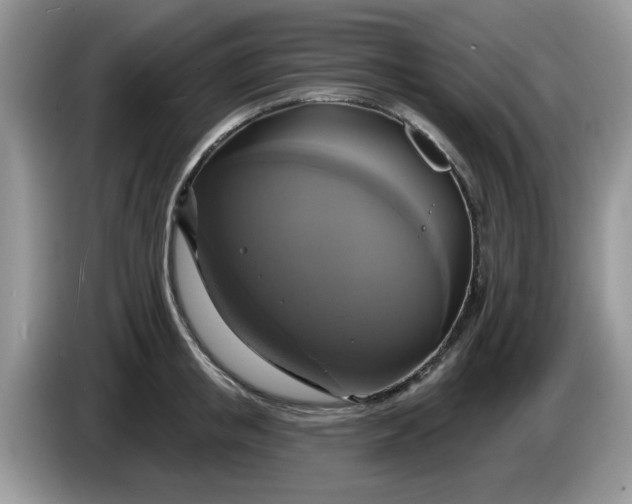 X0000086220853200704121856