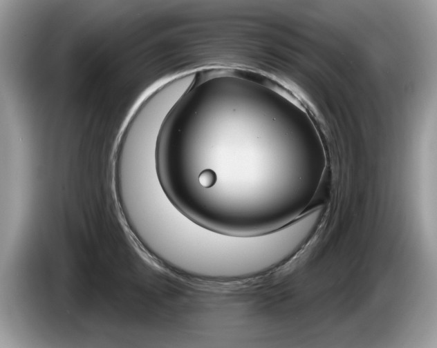 X0000086220854200704121856