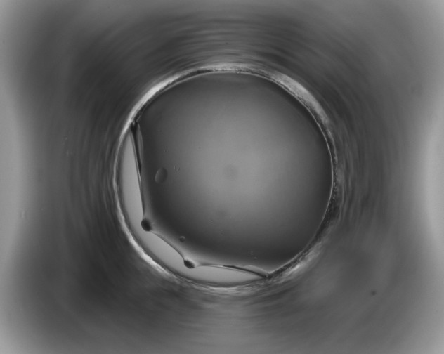 X0000086220855200704121856