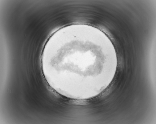 X0000086220856200704121856