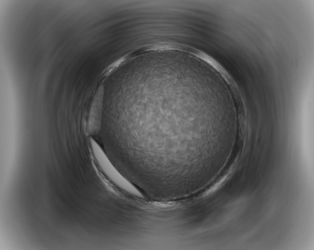 X0000086220857200704121856