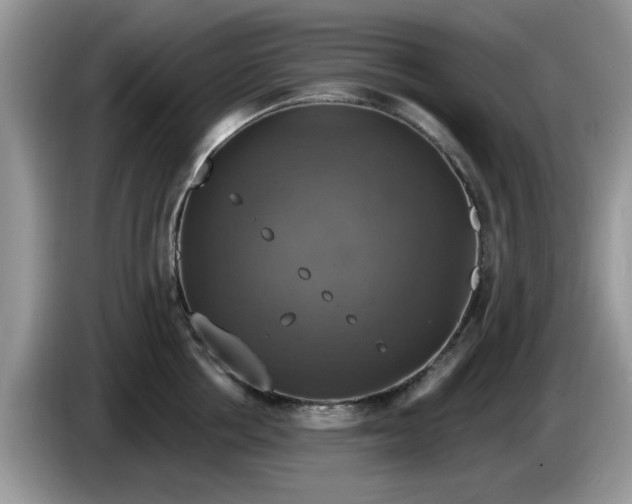 X0000086220858200704121856