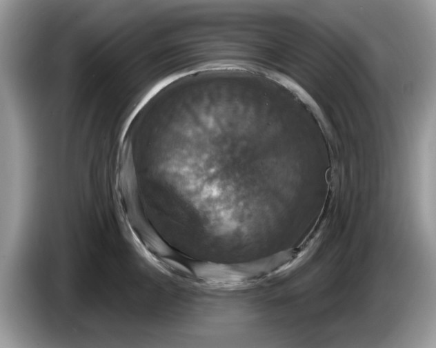 X0000086220860200704121856