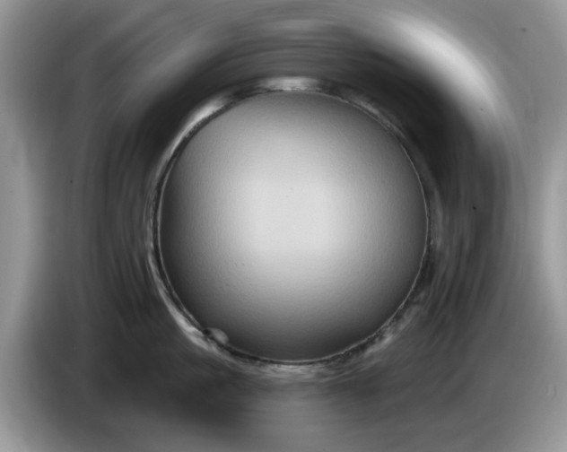 X0000086220861200704121856