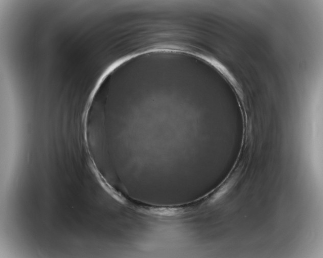 X0000086220862200704121856