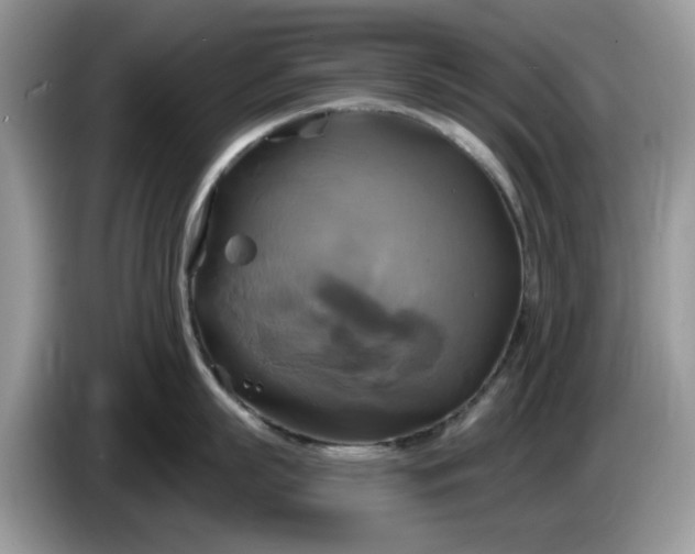 X0000086220863200704121856