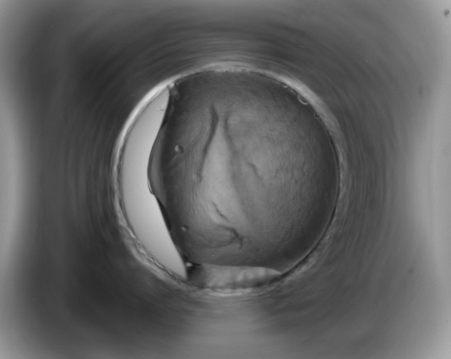 X0000086220864200704121856