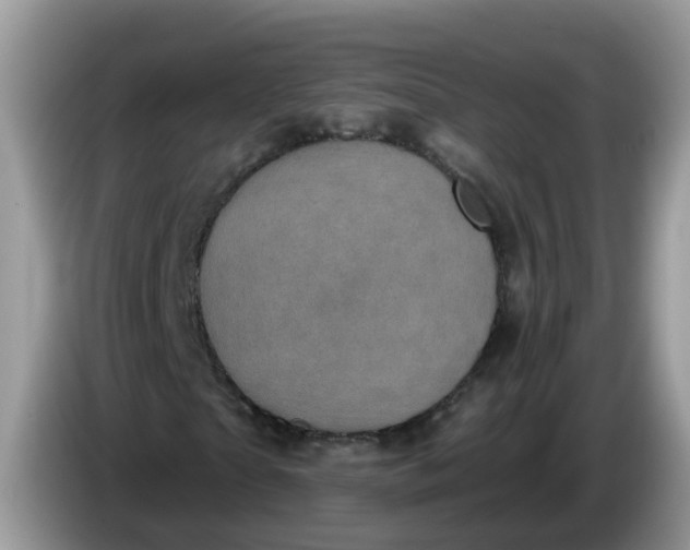 X0000086220865200704121855