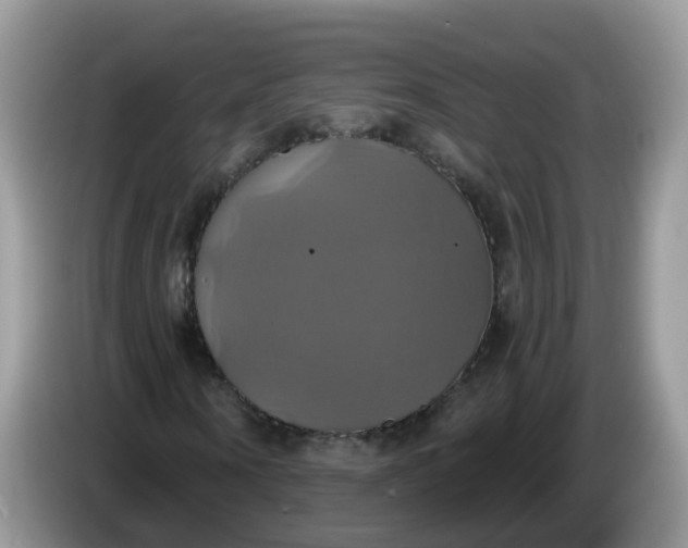 X0000086220866200704121855